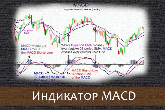 Индикатор macd - стратегии торговли о которых не говорят – портал tradelikeapro