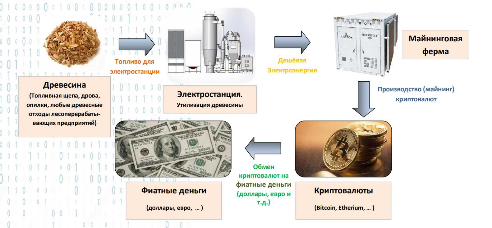 Утиль с 29 октября 2023