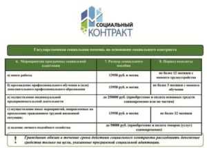 До 350 тыс. рублей для безработных: что такое социальный контракт и как получить деньги