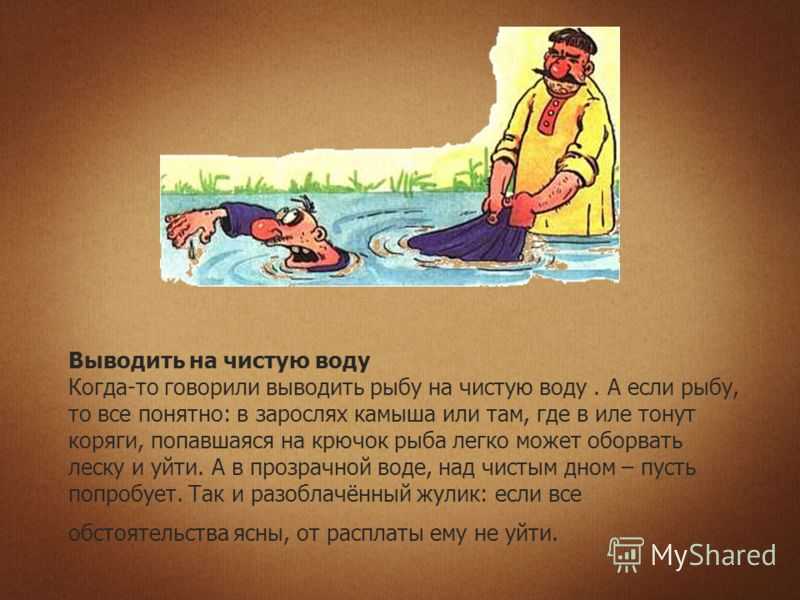 Выводить на чистую воду. Вывод на чистую воду. Выводит на чистую воду. Вывел на чистую воду. Чистая вода.