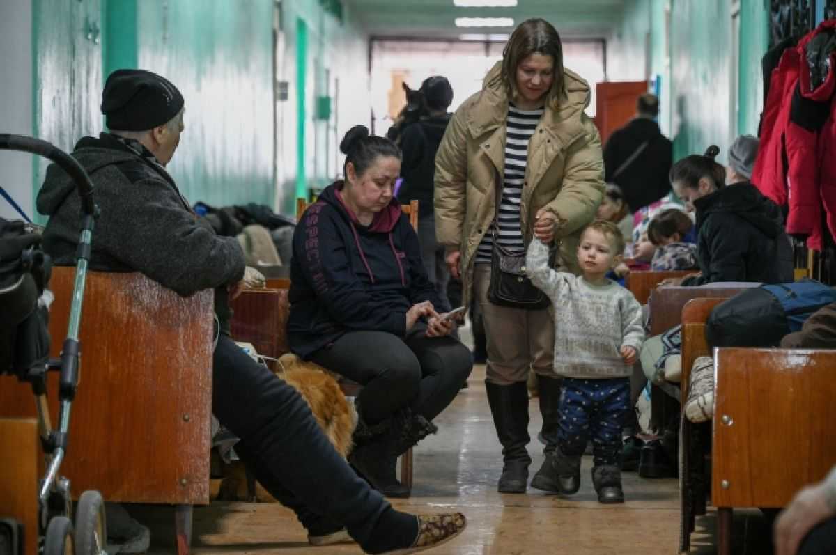Инструкция для беженцев из лнр и днр: куда обращаться за помощью в россии | ямал-медиа